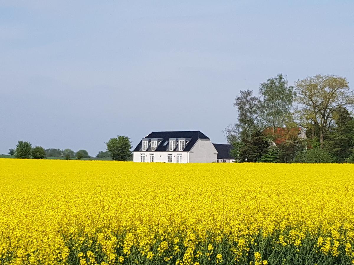 Roskilde B&B Gadstrup Exterior photo